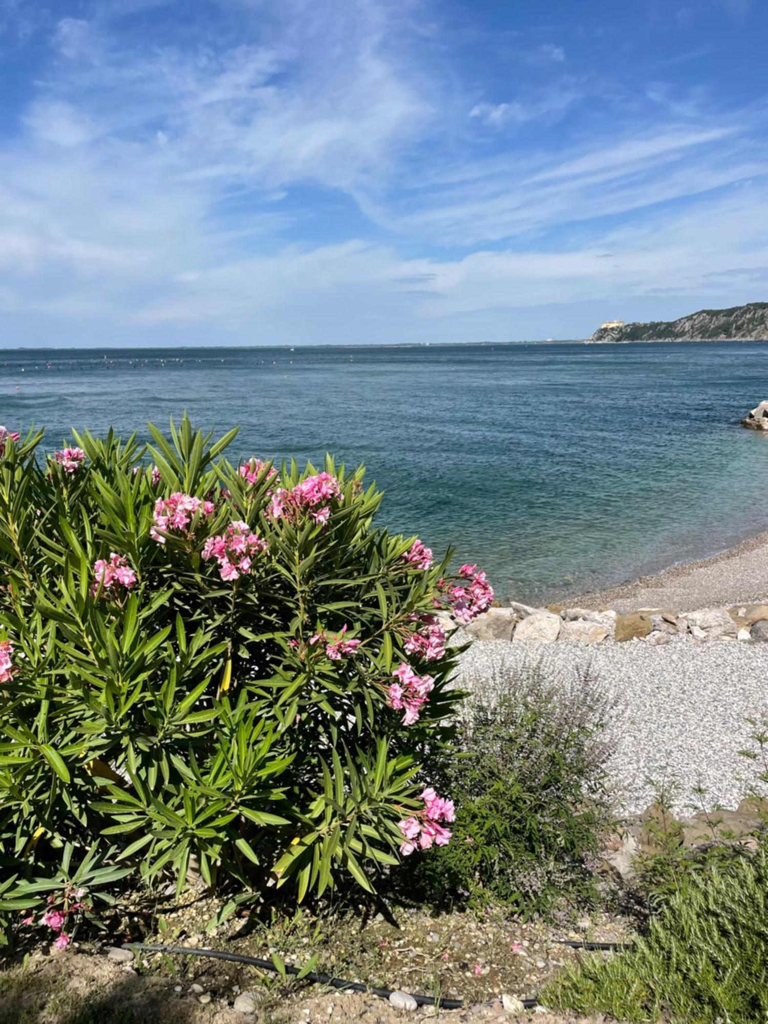 Апартаменты Portopiccolo Sul Mare - Систиана Экстерьер фото